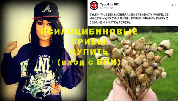 стаф Арсеньев